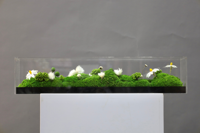 仿真苔藓造景 · MY-T-0061