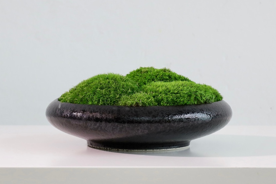仿真苔藓造景 · MY-T-0205
