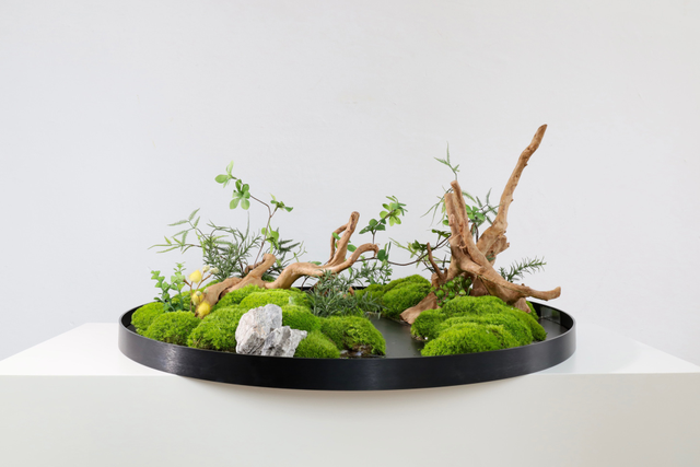仿真苔藓造景 · MY-T-0093