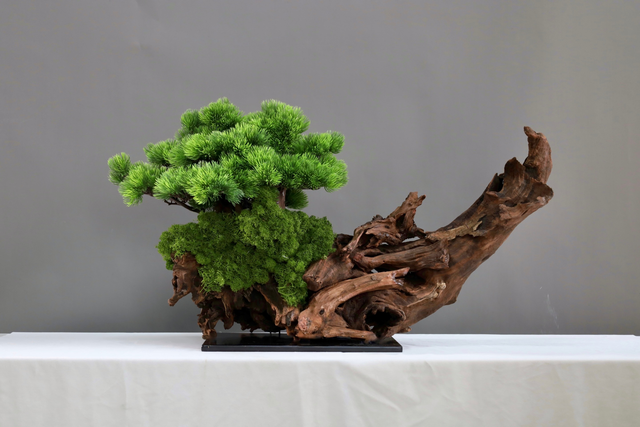 仿真苔藓造景 · MY-T-0117