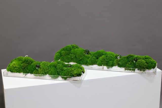 仿真苔藓造景 · MY-T-0220