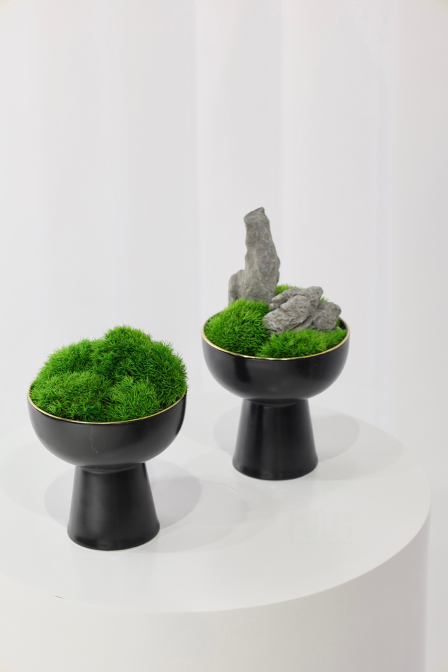 仿真苔藓造景 · MY-T-0046