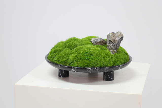 仿真苔藓造景 · MY-T-0026