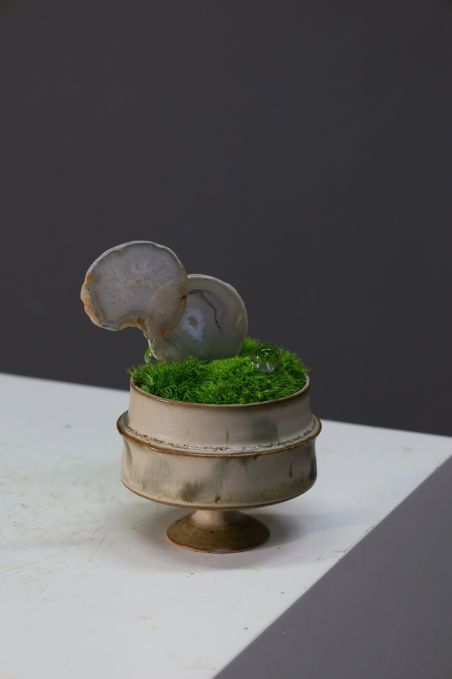 仿真苔藓造景 · MY-T-0127