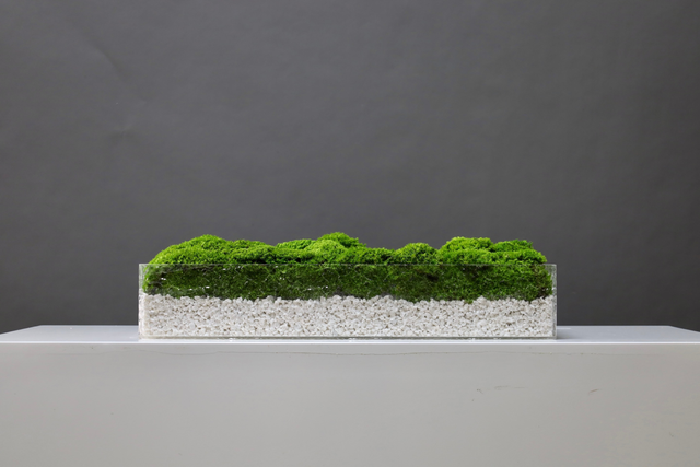 仿真苔藓造景 · MY-T-0192