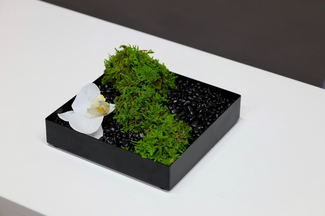 仿真苔藓造景 · MY-T-0035