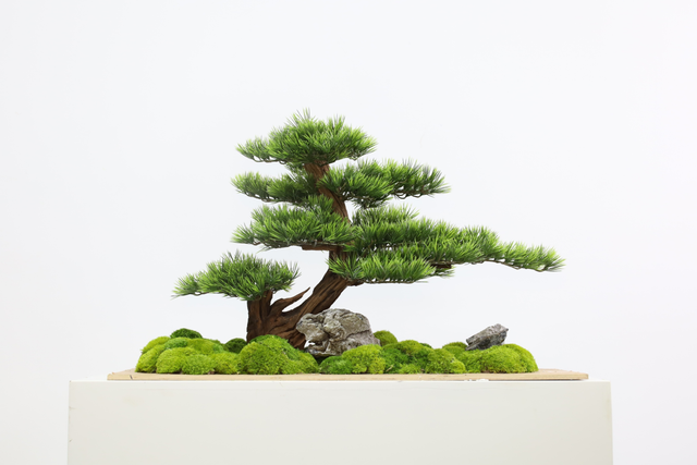仿真苔藓造景 · MY-T-0044