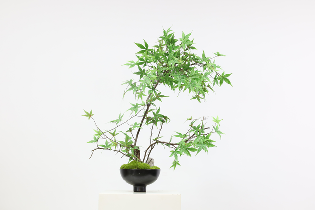 仿真花艺作品 · MY-M2-0338