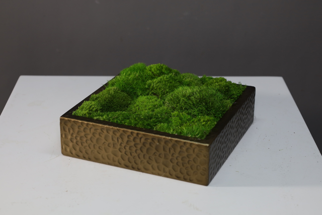 仿真苔藓造景 · MY-T-0198