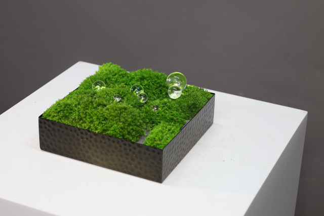 仿真苔藓造景 · MY-T-0050