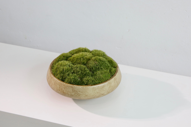 仿真苔藓造景 · MY-T-0207
